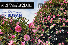 ø콺/ھƼ ī